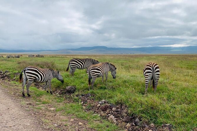 04 Days Tarangire, Serengeti and Ngorongoro Crater Group (Camping - Itinerary Highlights