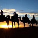 2 Day Zagora Desert Tour From Marrakech Highlights Of The Experience