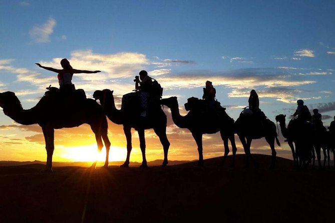 2-Day Zagora Desert Tour From Marrakech - Highlights of the Experience