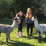 2 Hour Alpaca Farm Experience In Kenilworth Experience Overview