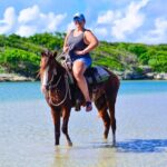 2 Hour Beach Horseback Riding In Punta Cana + Gift Sim Card Pickup And Drop Off Details