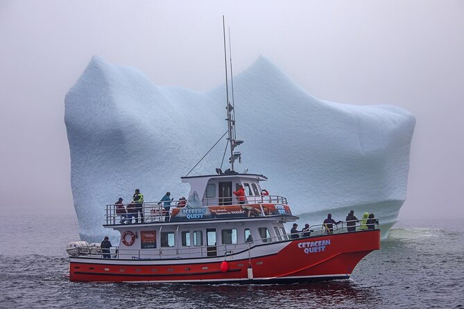 2 Hour Boat Tour in Twillingate - Tour Highlights