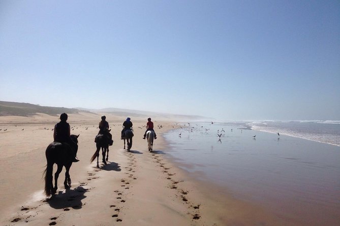 2 Hours Horse Ride Beach and Dunes in Essaouira Morocco - Overview and Inclusions