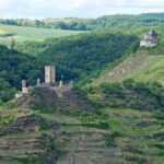 2 River Day Trip By Boat To Koblenz And Return From Alken Activity Overview