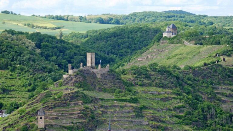 2 River Day Trip By Boat To Koblenz And Return From Alken Activity Overview