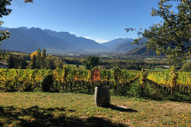 3 Hour Unique Wine Tour - Half Day in Swiss Alps - Tour Overview