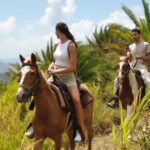 3 Hours Horseback Riding From Nature Trails To Sofa Stone Highlights Of The Nature Trail Ride