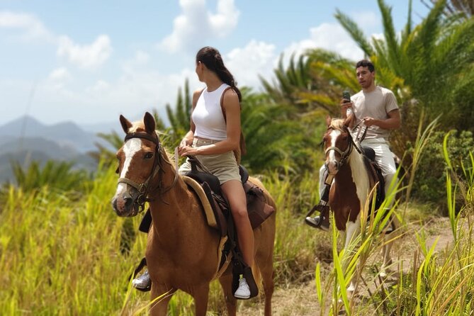 3 Hours Horseback Riding From Nature Trails To Sofa Stone Highlights Of The Nature Trail Ride