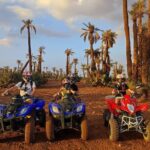 3 Hours Quad Excursion To The Palm Grove And Jbilat Desert Tour Overview