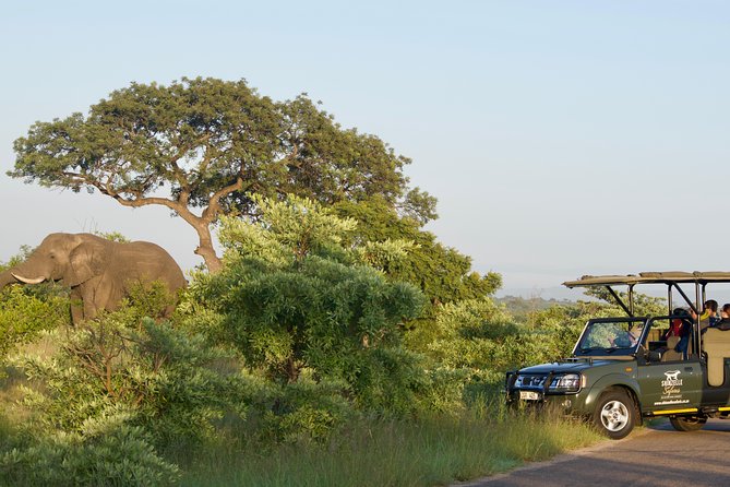 4-Day Kruger Park Safari & Panoramic Tour Combo Including Breakfast and Dinner - Kruger National Park Safari