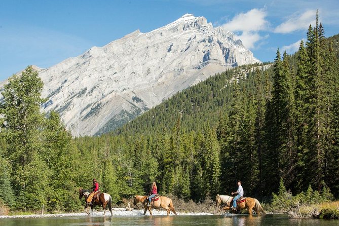 4 Hour Sulphur Mountain Horseback Ride Whats Included