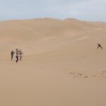 4 Hours.agadir : Trip To Sahara And Tifnit Fishing Village Tour Overview