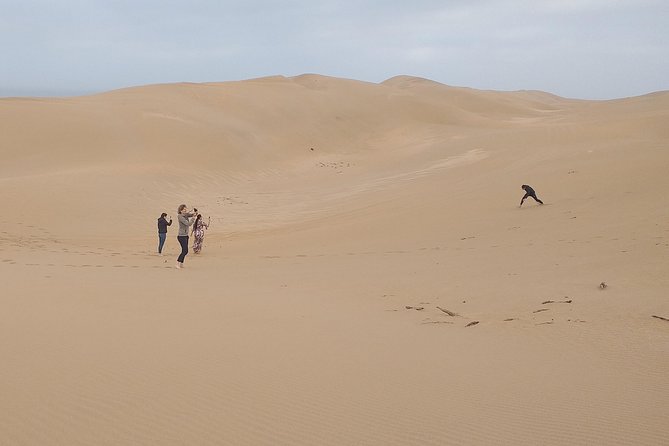 4 Hours.Agadir : Trip to Sahara and Tifnit Fishing Village - Tour Overview