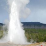 5 Day Tour Yellowstone Park Los Angeles Salt Lake City Tour Details