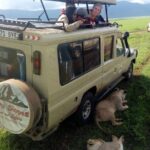 5 Days Camping Tarangire, Serengeti & Ngorongoro Crater & Visiting Maasai Bathroom Facilities Concerns