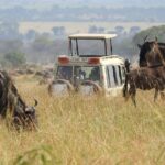 5 Days Lake Manyara, Serengeti, Ngorongoro Crater And Tarangire Tour Overview