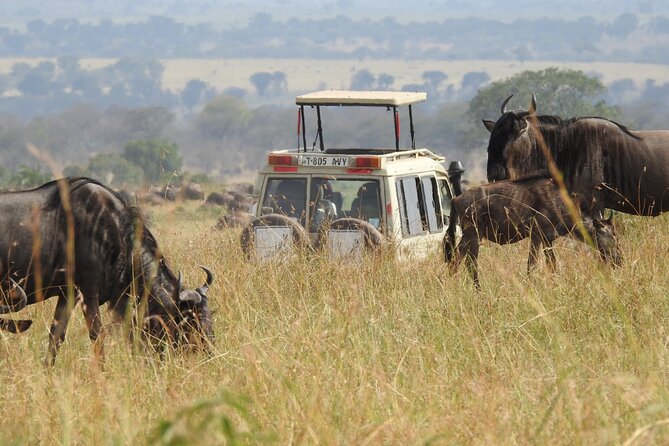 5-Days Lake Manyara, Serengeti, Ngorongoro Crater and Tarangire - Tour Overview