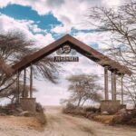 6 Days 5 Nights Safari Ngorongoro, Serengeti And Tarangire National Parks Safari Overview