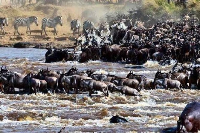 8 Days Great Wildebeest Migration - Mara River Crossing - Tour Overview