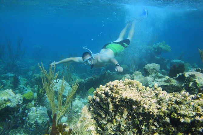 8HR Fullday Private Boat in Gracebay - Visiting Little Water Cay