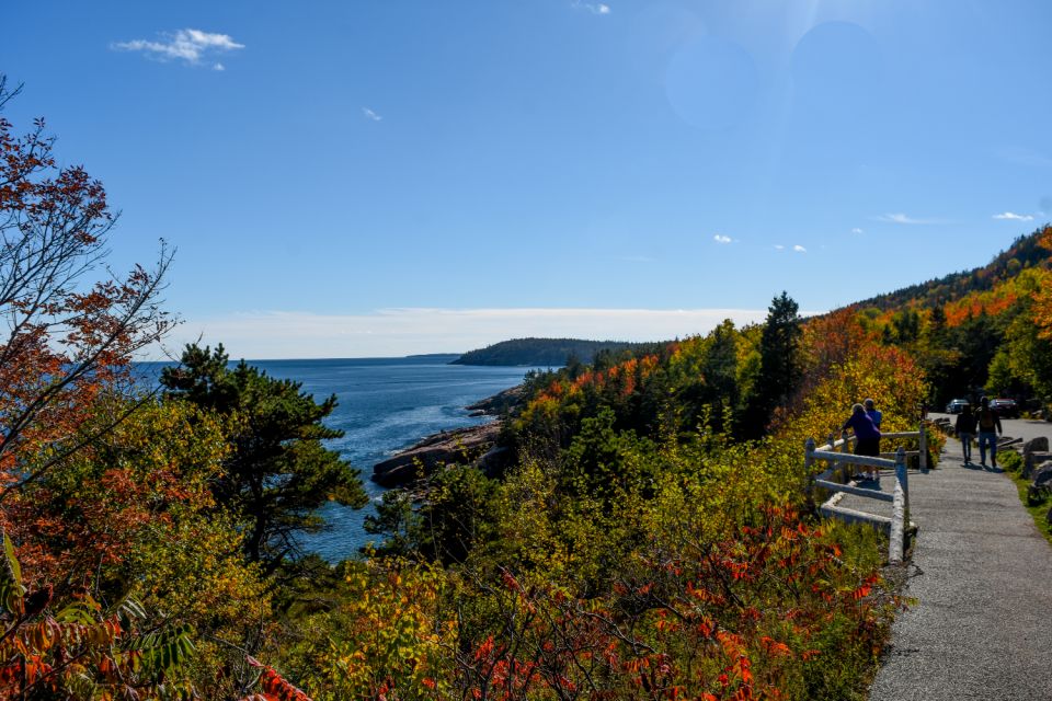 Acadia NP & Bar Harbor Self-Guided Driving and Walking Tour - Tour Overview and Pricing