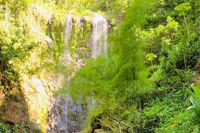 Adventure to a Hidden Waterfall, Private Tour - Tour Overview and Details