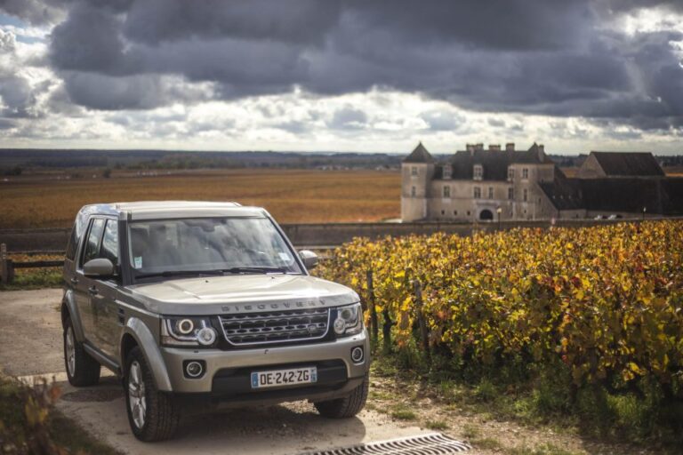 Afternoon In The Côte De Nuits (small Group) Prestigious Vineyards Of Côte De Nuits