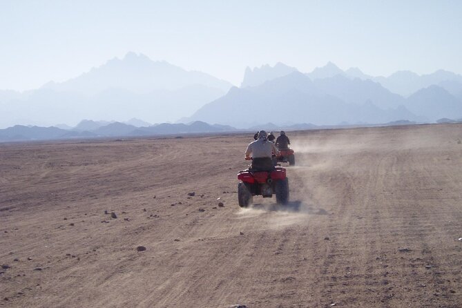 Agadir Taghazout Quad Biking Trip With Lunch - Tour Overview