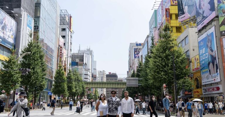 Akihabara Culinary And Culture Adventure: Your Personalized Tour Overview