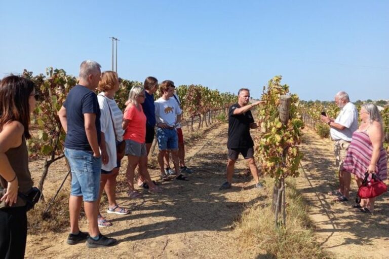 Albufeira: Winery Tour With Wine Tasting And Tapas Tour Overview And Details