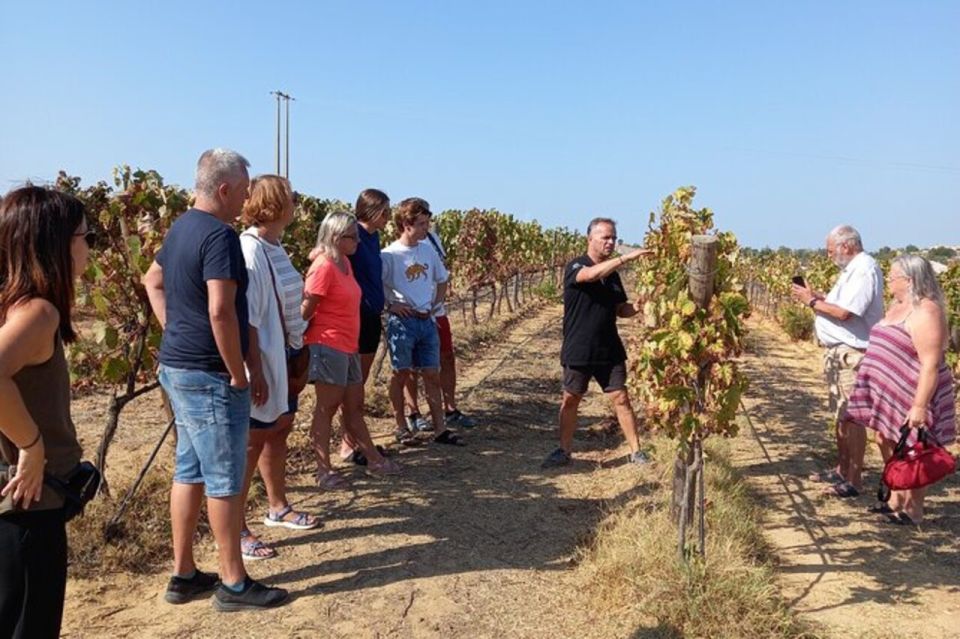 Albufeira: Winery Tour With Wine Tasting and Tapas - Tour Overview and Details