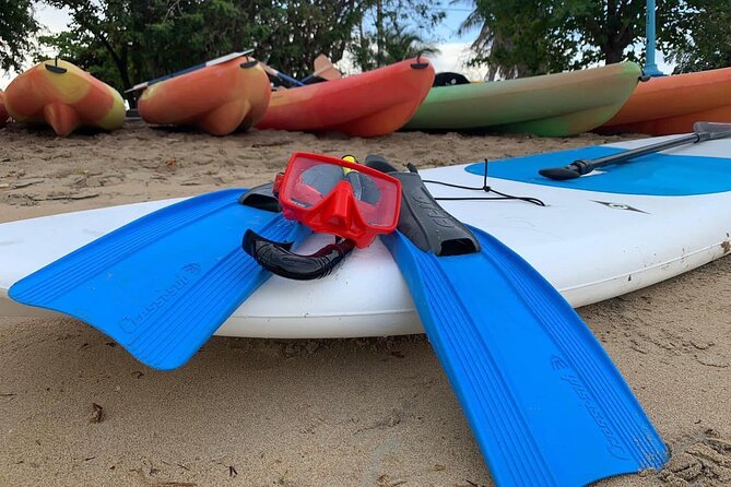 All Day Snorkeling Gear Rental in Puerto Rico - Overview and Experience