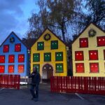 Alsace Christmas Markets & Fairy Tale Villages Private Tour From Strasbourg Tour Overview