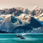 Anchorage: Kenai Fjords & Denali National Park 5 Day Tour Overview Of The 5 Day Tour