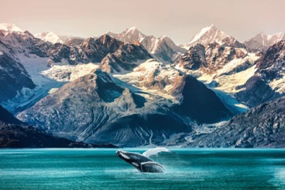 Anchorage: Kenai Fjords & Denali National Park 5 Day Tour - Overview of the 5-Day Tour