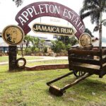 Appleton Estate Rum Tour And Tasting From Falmouth Tour Overview