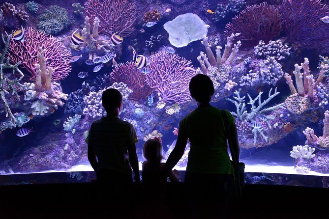 Aquarium & Face2face Wax Museum From Antalya Overview Of Attractions