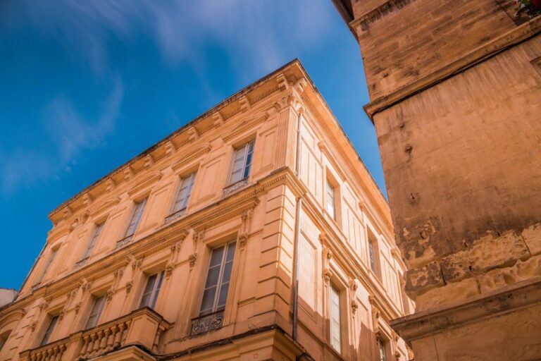 Avignon: Tour With Private Guide Palais Des Papes Exploration