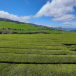 Azores: Furnas Evening Thermal Bath With Tickets Overview