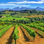 Barcelona: Montserrtat Hike And Winery Tour With Tasting Tour Overview