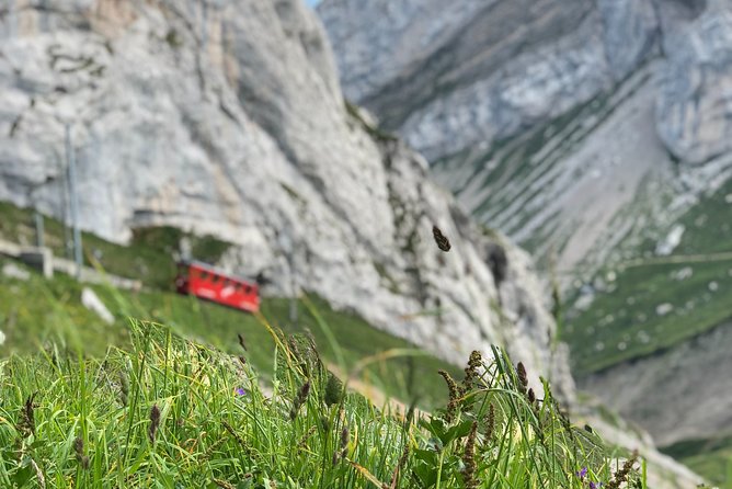 Basel Private Tour - Mt. Pilatus and Cruise on Lake of Lucerne - Tour Details