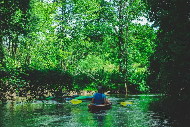 Big Creek Kayak Tour - Overview of Big Creek National Wildlife Area