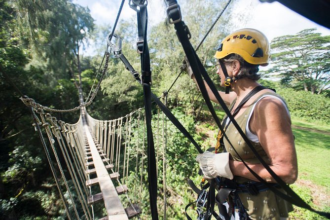 Big Island Kohala Canopy Zipline Adventure - Overview and Experience