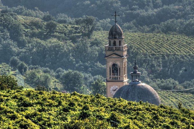 Bike Station Valpolicella: E-Bike Tour & Amarone Tasting - Overview of the Experience