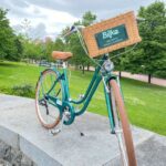 Bilbao City Bike Rental Bicycle Specifications