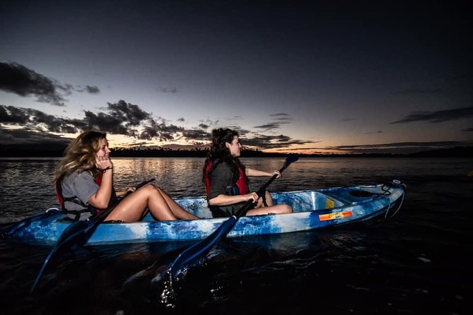 Bioluminescent Bay Kayak Adventure From San Juan - Overview of the Excursion