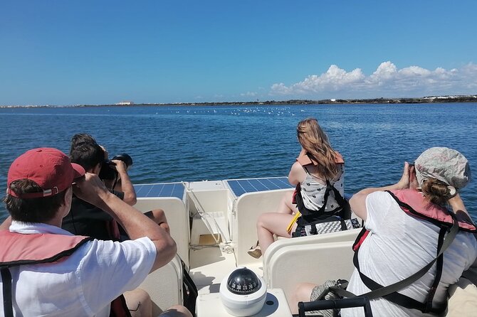 Birdwatching in Ria Formosa - Eco Boat Tour From Faro - Observing Wildlife in the Park