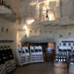 Blois: Exclusive Wine Tasting In Cheverny And Cour Cheverny Experience Overview