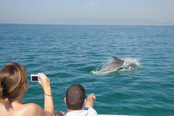 Boat Trip for Dolphin Watching Along the Arrabida Coast and Sesimbra - Activity Overview