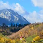 Brasov: Craiuli Mountains Hike & Bear Sanctuary Private Trip Trip Overview And Pricing